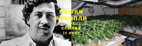 PSILOCYBIN Зеленокумск