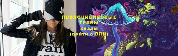 PSILOCYBIN Зеленокумск